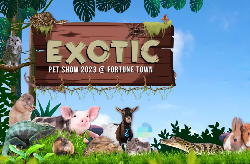  ชมฟรี!!! Fortune Town ชวนเปิดโลกการเรียนรู้ในงาน Exotic Pet Show 2023 ครั้งที่ 3