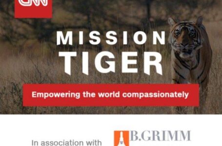 บี.กริม ปลื้ม “Mission Tiger” คว้ารางวัล Best Infotainment Programme จากเวทีระดับสากล “Asian Academy Creative Awards 2023” ผนึก CNN เดินหน้ารณรงค์ สร้างความตระหนักรู้ เพื่อฟื้นฟูประชากรเสือโคร่ง