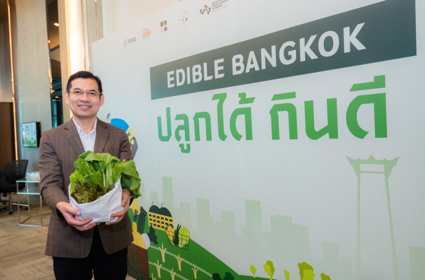  สสส. ผนึก กทม., UDDC และภาคีเครือข่าย ลุยกิจกรรม Walkable Bangkok Public Presentation ส่งเสริมการออกกำลังกายด้วยการเดิน