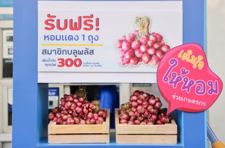 พีทีที สเตชั่น เติมเต็มรอยยิ้มให้เกษตรกรไทย สมาชิก blueplus+ รับฟรี! หอมแดง