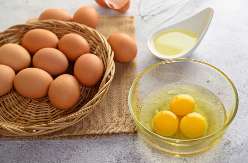  ผลงานวิจัยใหม่พบ “ไข่” ลดความเสี่ยงกระดูกพรุน