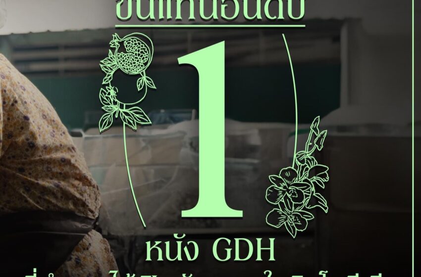  ‘หลานม่า’ เปิดตัวแรง ทำชาวอินโดน้ำตาท่วม ขึ้นแท่นหนังไทยจาก GDH ที่ทำรายได้เปิดตัวสูงสุด
