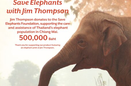 จิม ทอมป์สัน มอบเงินสนับสนุน‘มูลนิธิอนุรักษ์ช้างและสิ่งแวดล้อม’