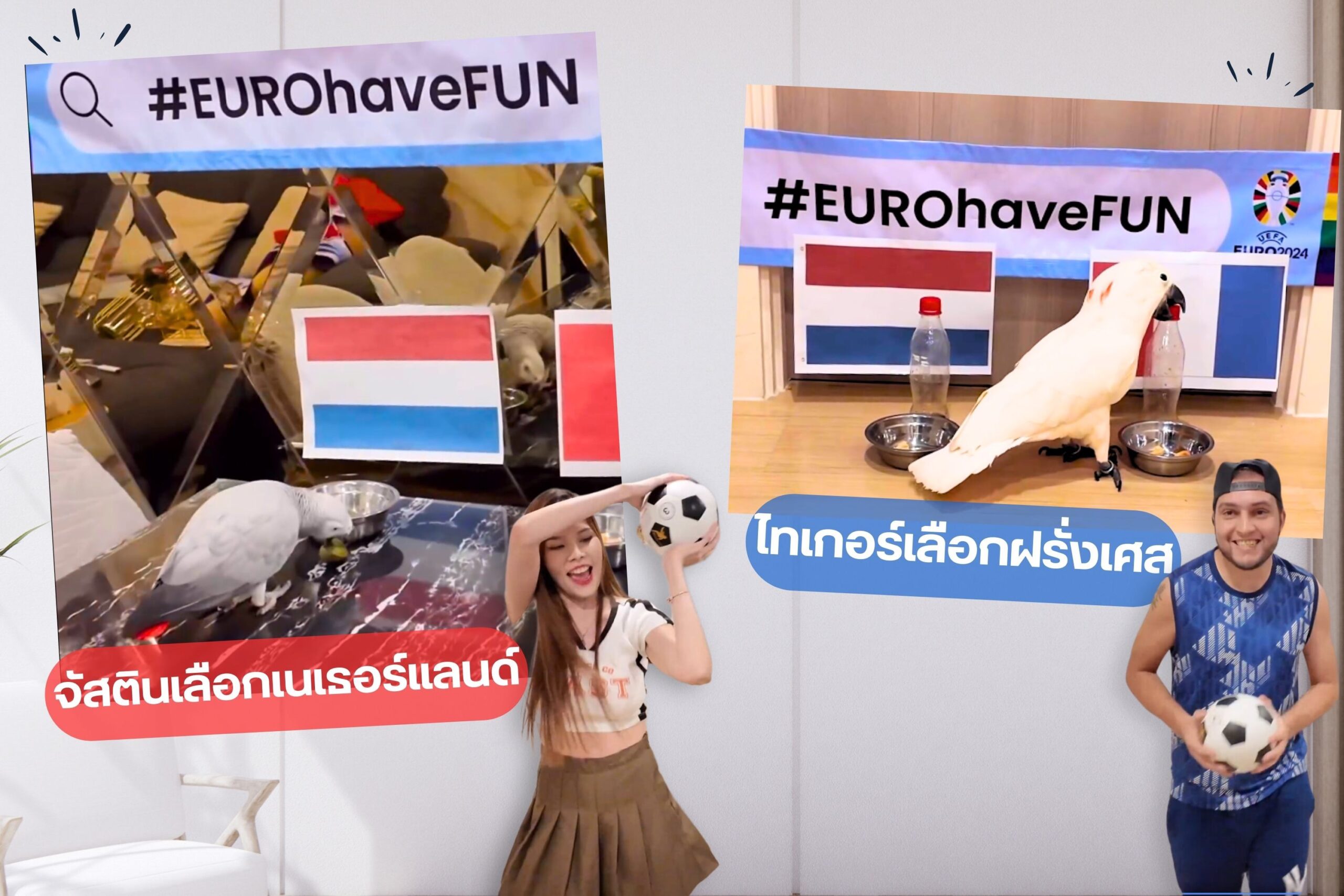 ‘EUROhaveFUN’ ชวนลุ้นทายผลบอลยูโร 2024 กับสัตว์เลี้ยง