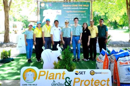 TCMC จัดกิจกรรมปลูกป้อง Plant & Protect ปี 2