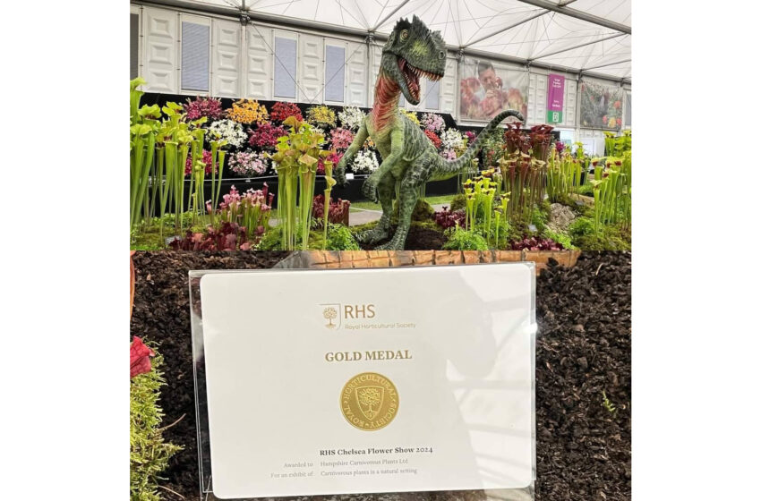  สวนนงนุชพัทยา สนับสนุนงานประกวดดอกไม้ระดับโลก ‘เชลซี ฟลาวเวอร์ โชว์’ ประเทศอังกฤษ จนได้รับรางวัลเหรียญทอง
