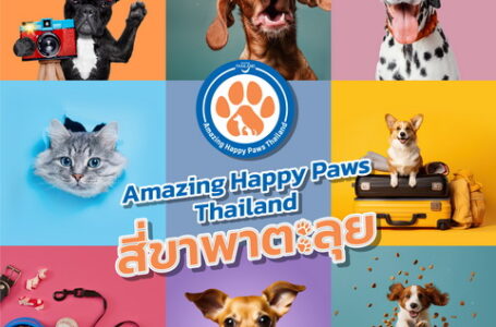 ททท. รุกต่อยอดโครงการ Amazing Happy Paws Thailand ผนึกกำลังพันธมิตร ยกระดับสินค้าและบริการท่องเที่ยวที่เป็นมิตรกับสัตว์เลี้ยง